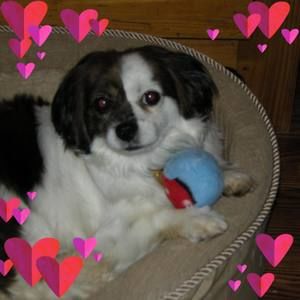 Meet your Posher, Diane